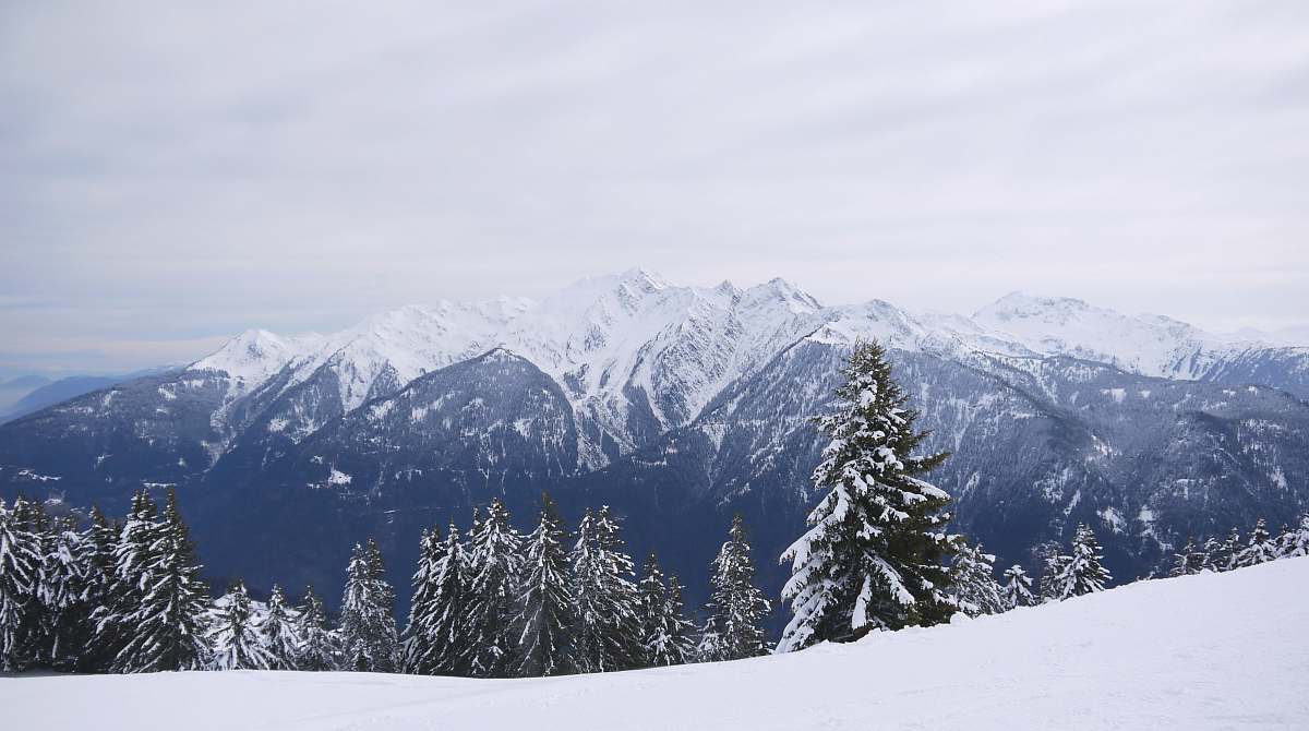 mountain snowy forest and mountains under cloudy sky during daytime snow