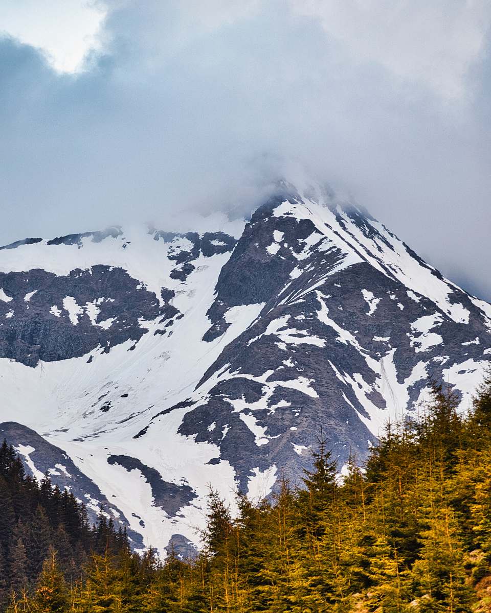 outdoors tree near mountain during daytime mountain