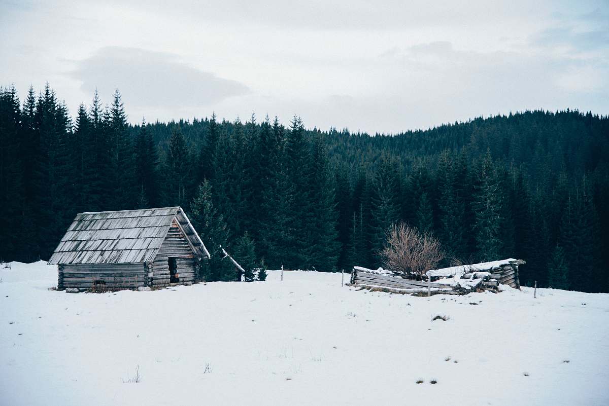 shack wooden cabin on snow-covered field hut