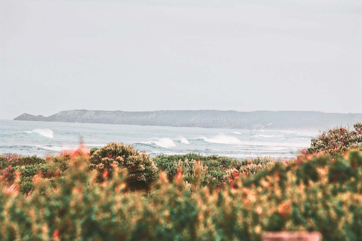 sea body wave of water coast
