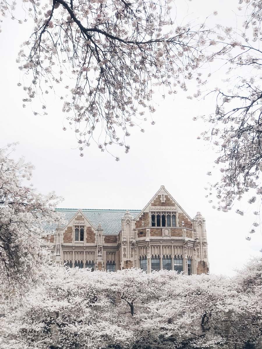 snow brown and gray house near trees frost