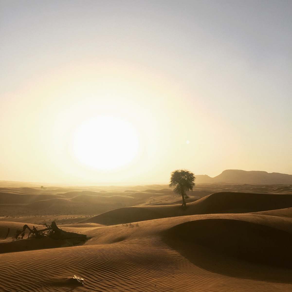 soil sand dunes during golden hour nature