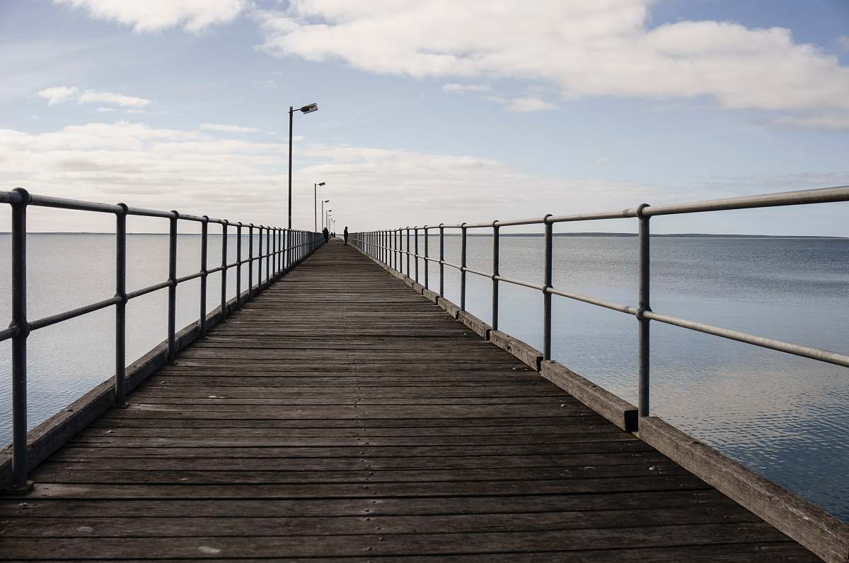 walkway brown wooden dock boardwalk