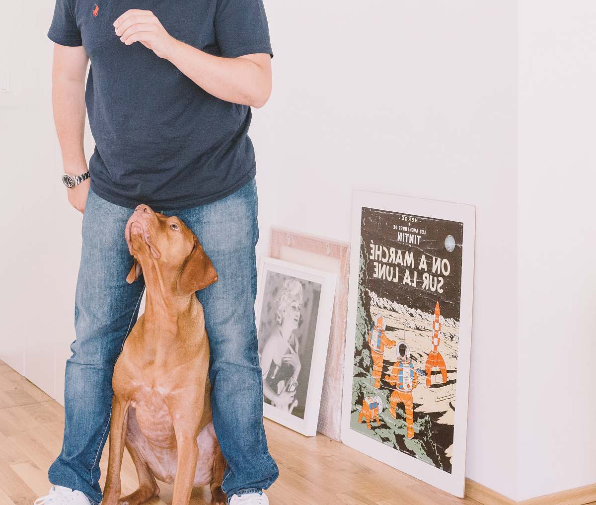 person man in front of dog human