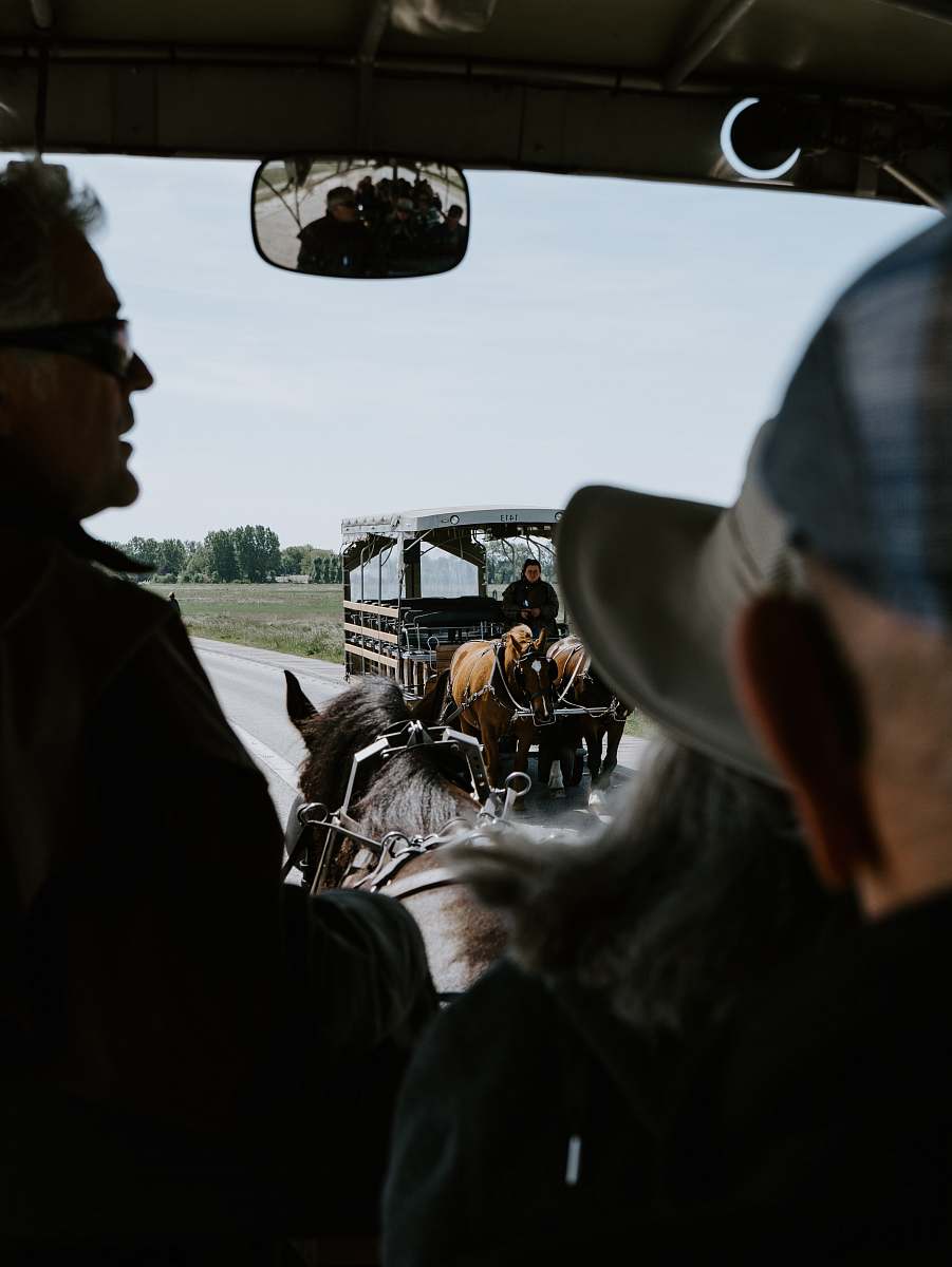 human man riding horse with carriage horse