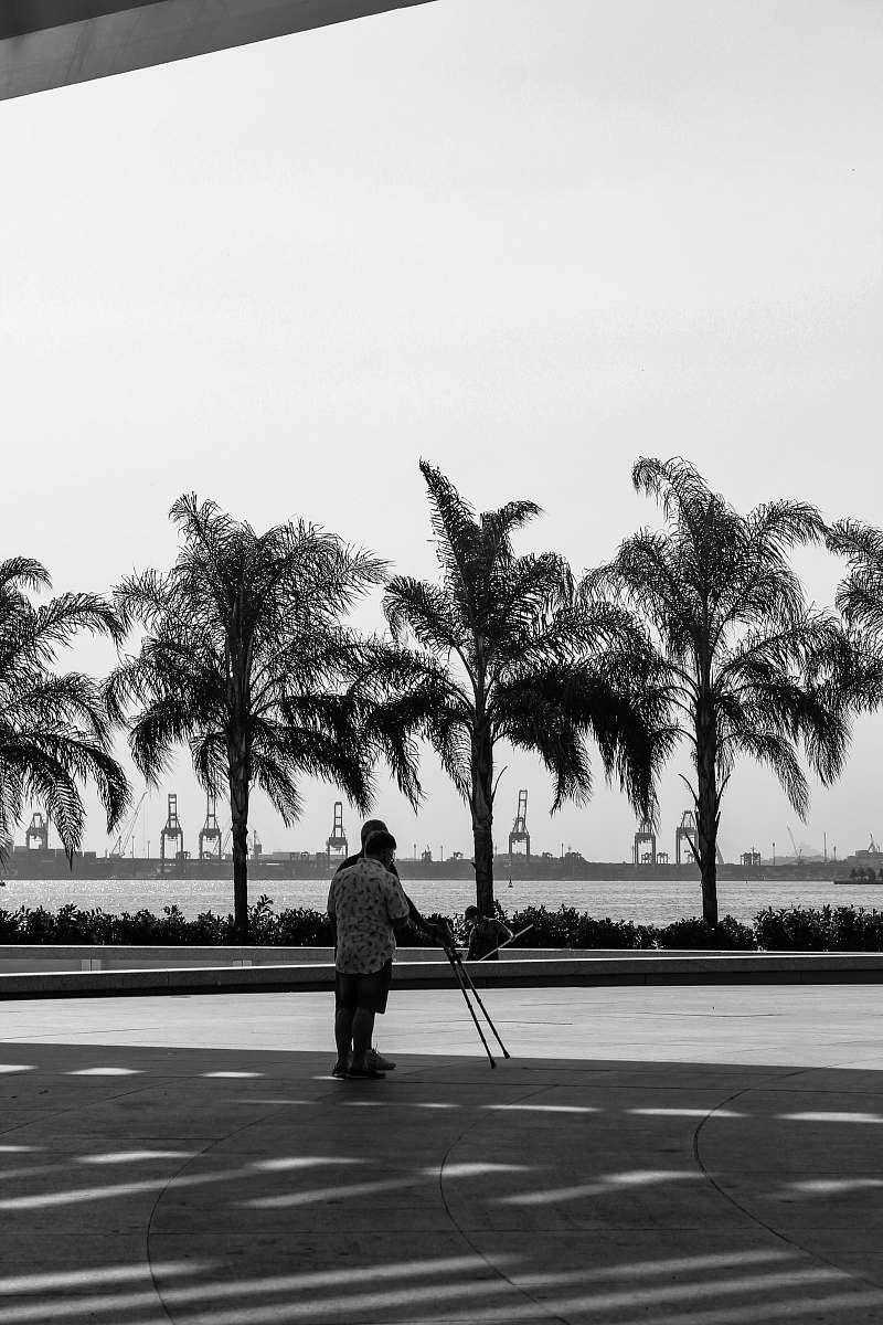 human person near trees and sea during day black-and-white