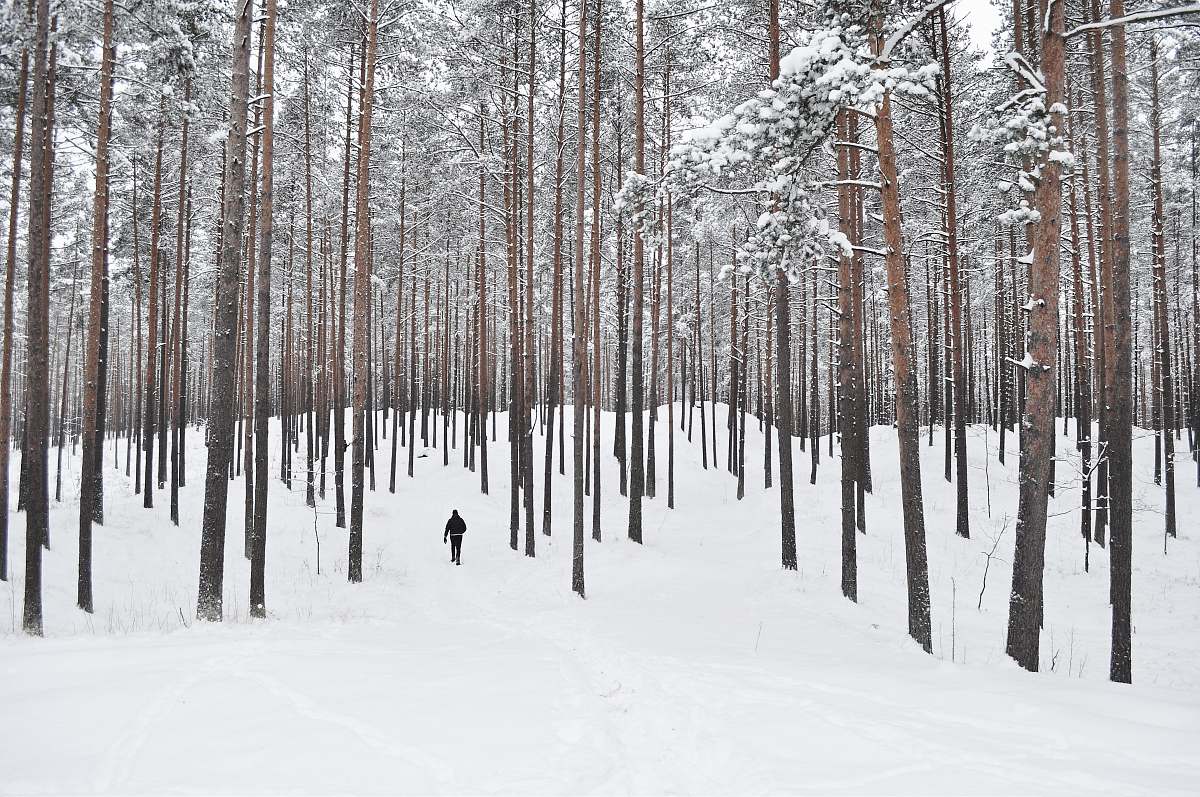 trees person walking on field of snow snow