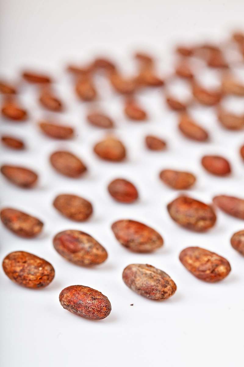 food brown seeds on table vegetable