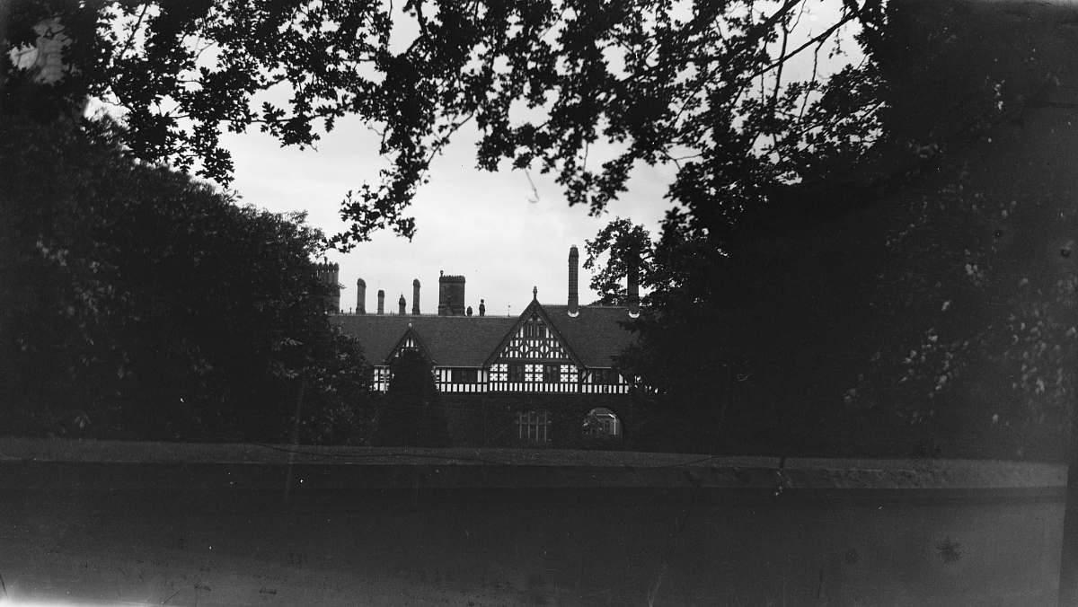 black-and-white gray house tree