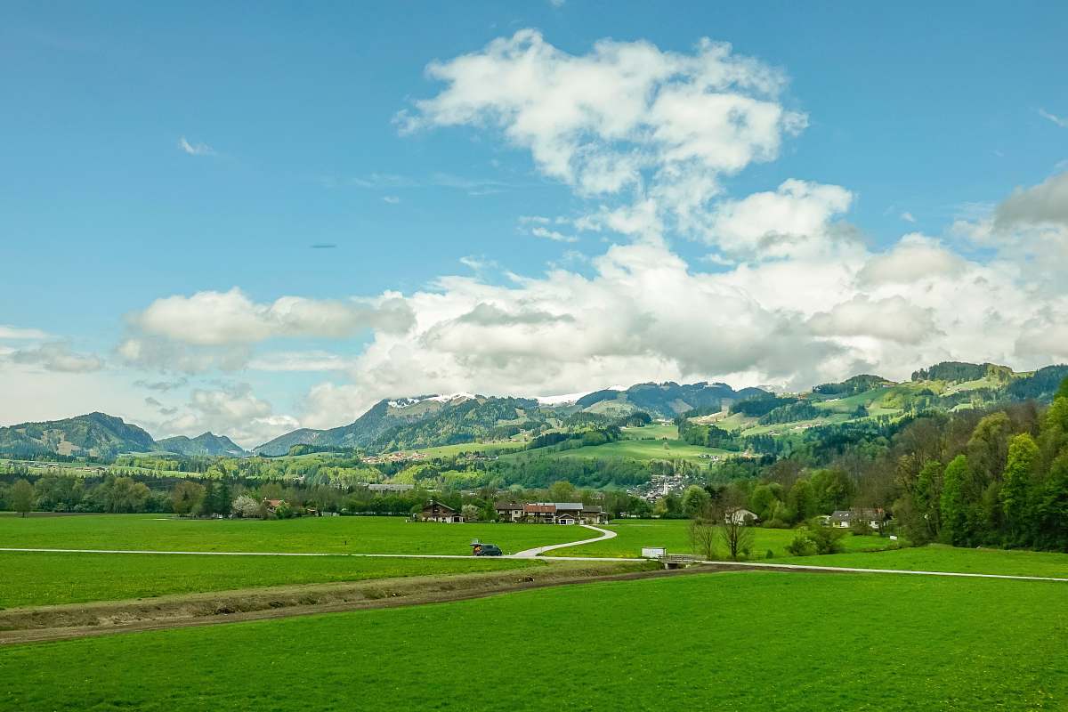 nature green field at daytime grass