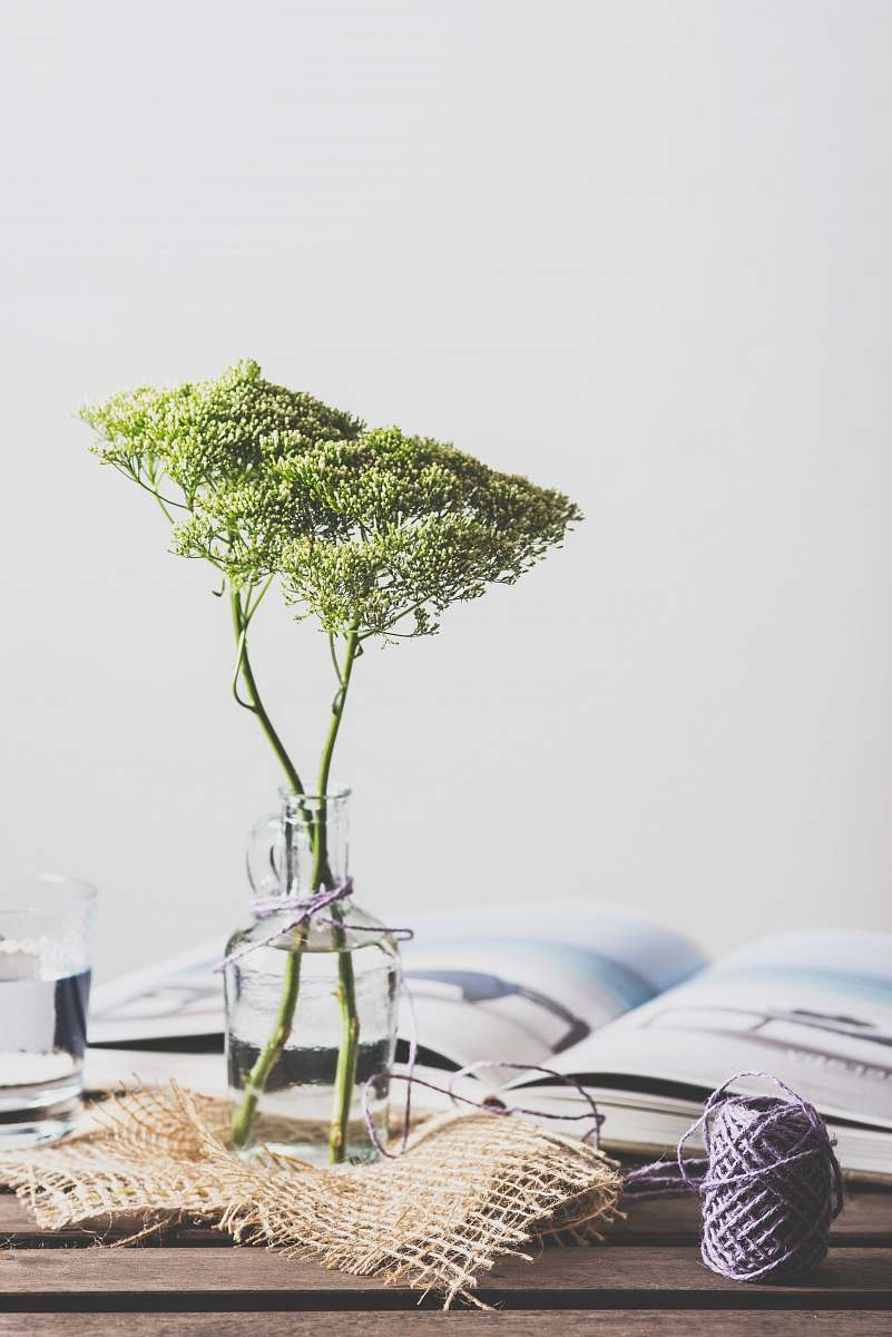 flower green leafed plant on glass vase interior