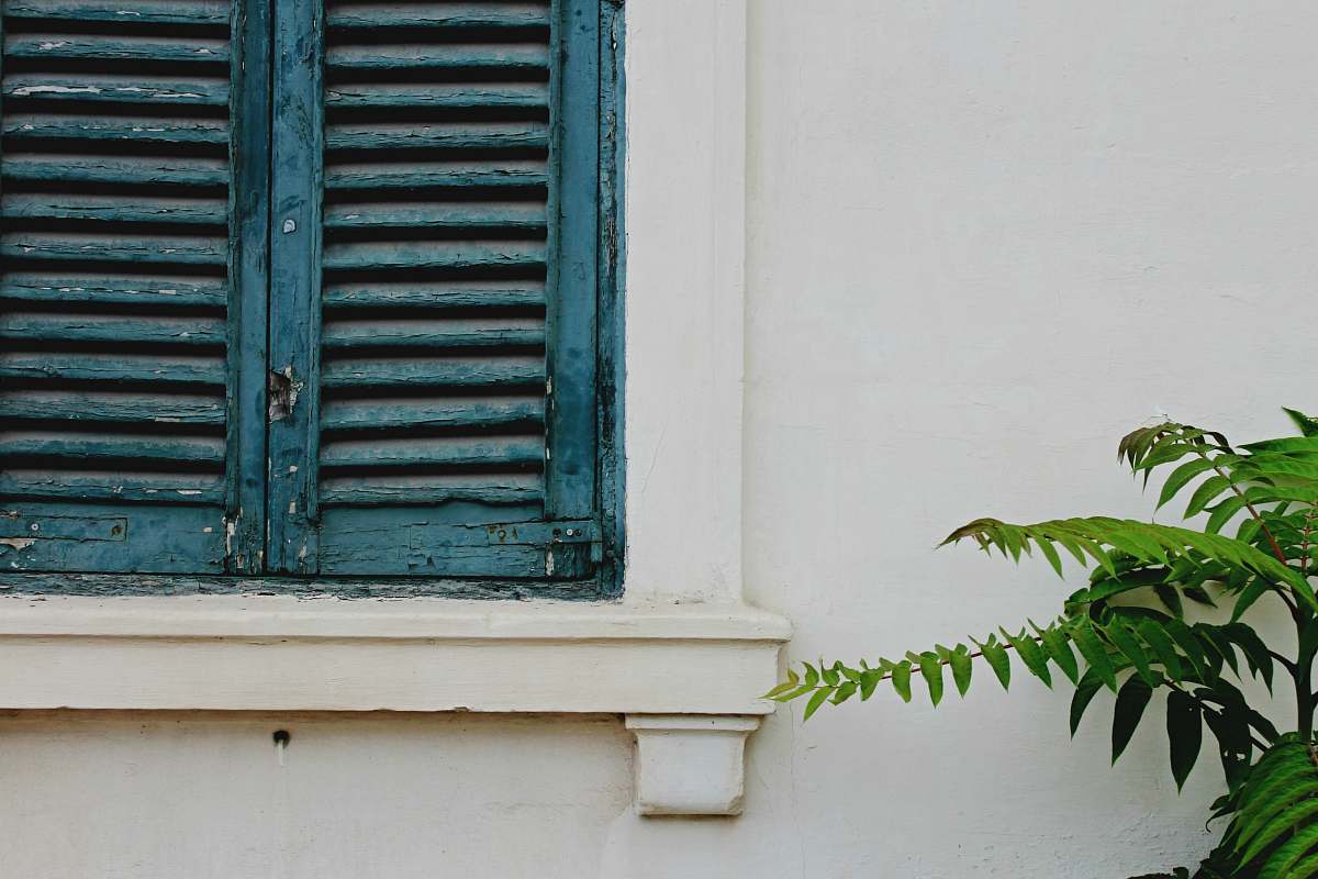 valletta green leafed plants beside blue wooden window malta