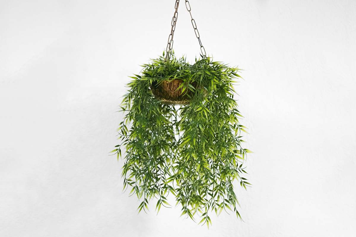 green green plant pot