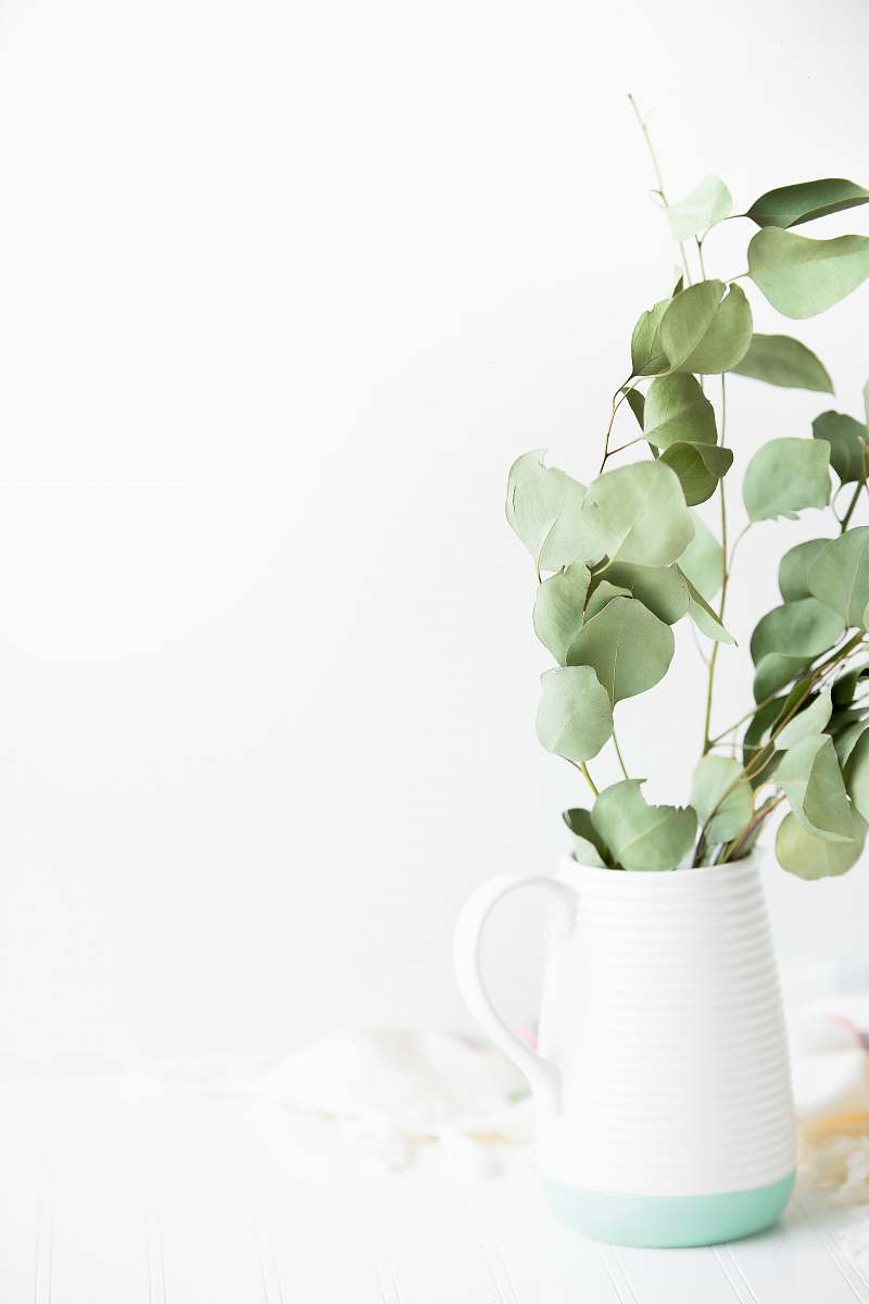 flower green plant potted on white ceramic vase leaf