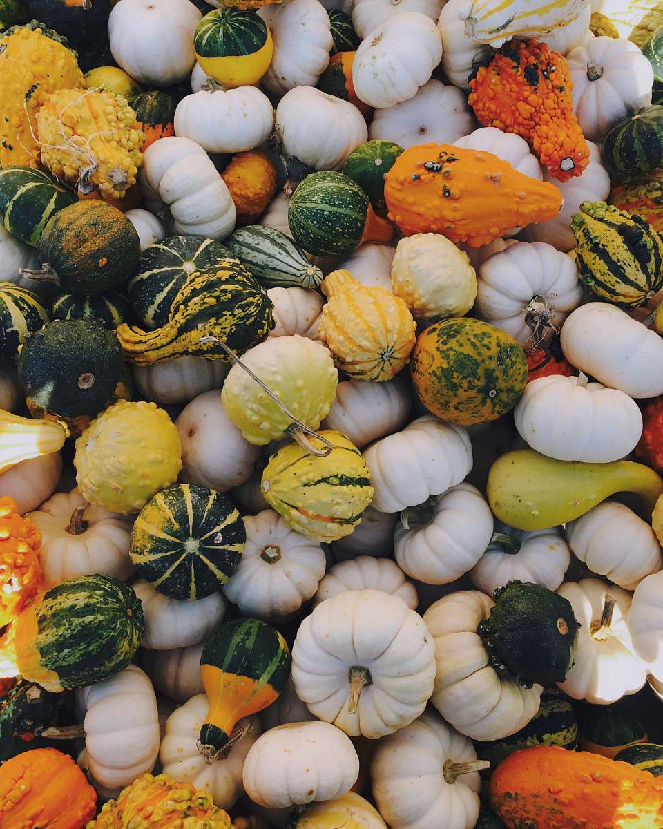 food green, white, and orange squash produce