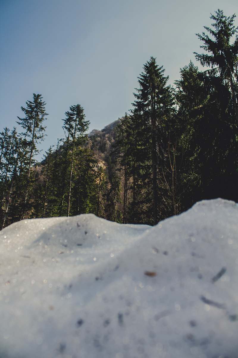 ice mountain peak and trees nature