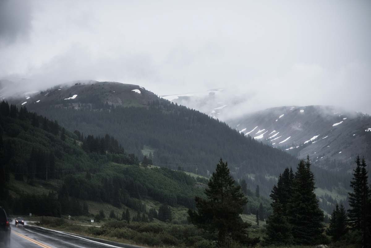 tree mountains covered with green leafed trees abies