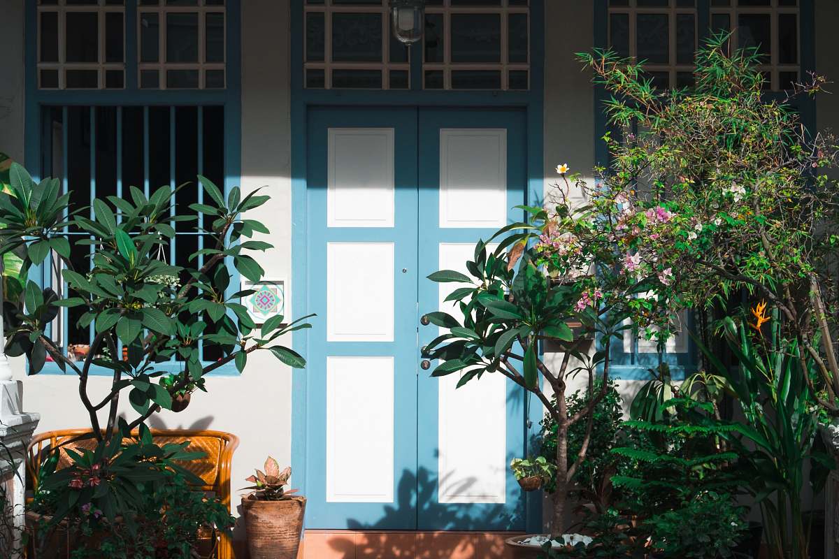 flora plants near closed house door jar