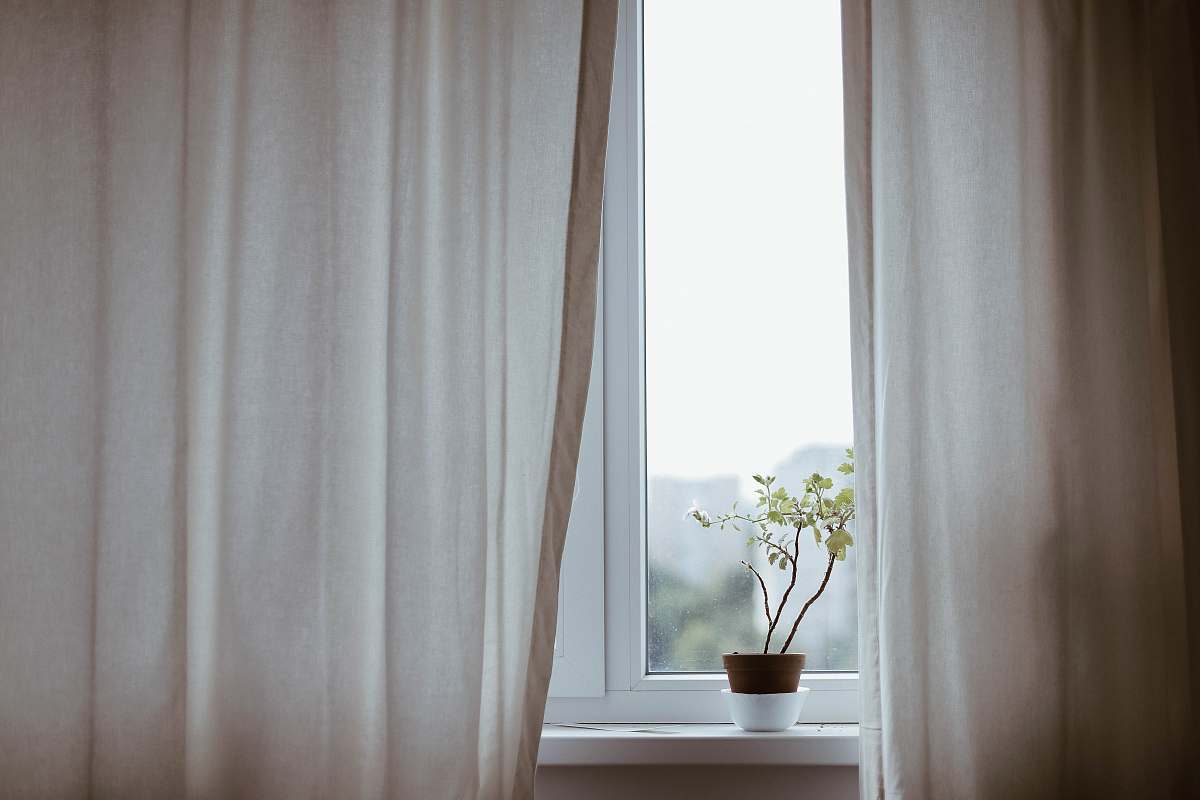 curtain potted plant on window with curtain potted plant