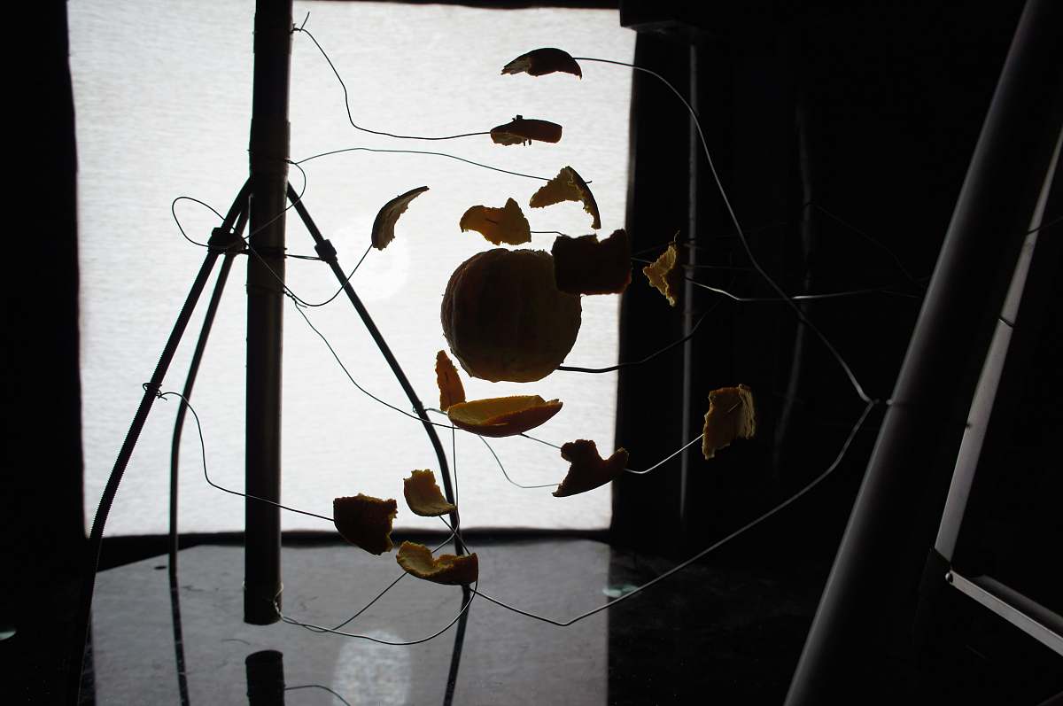 food silhouette of tripod leaf