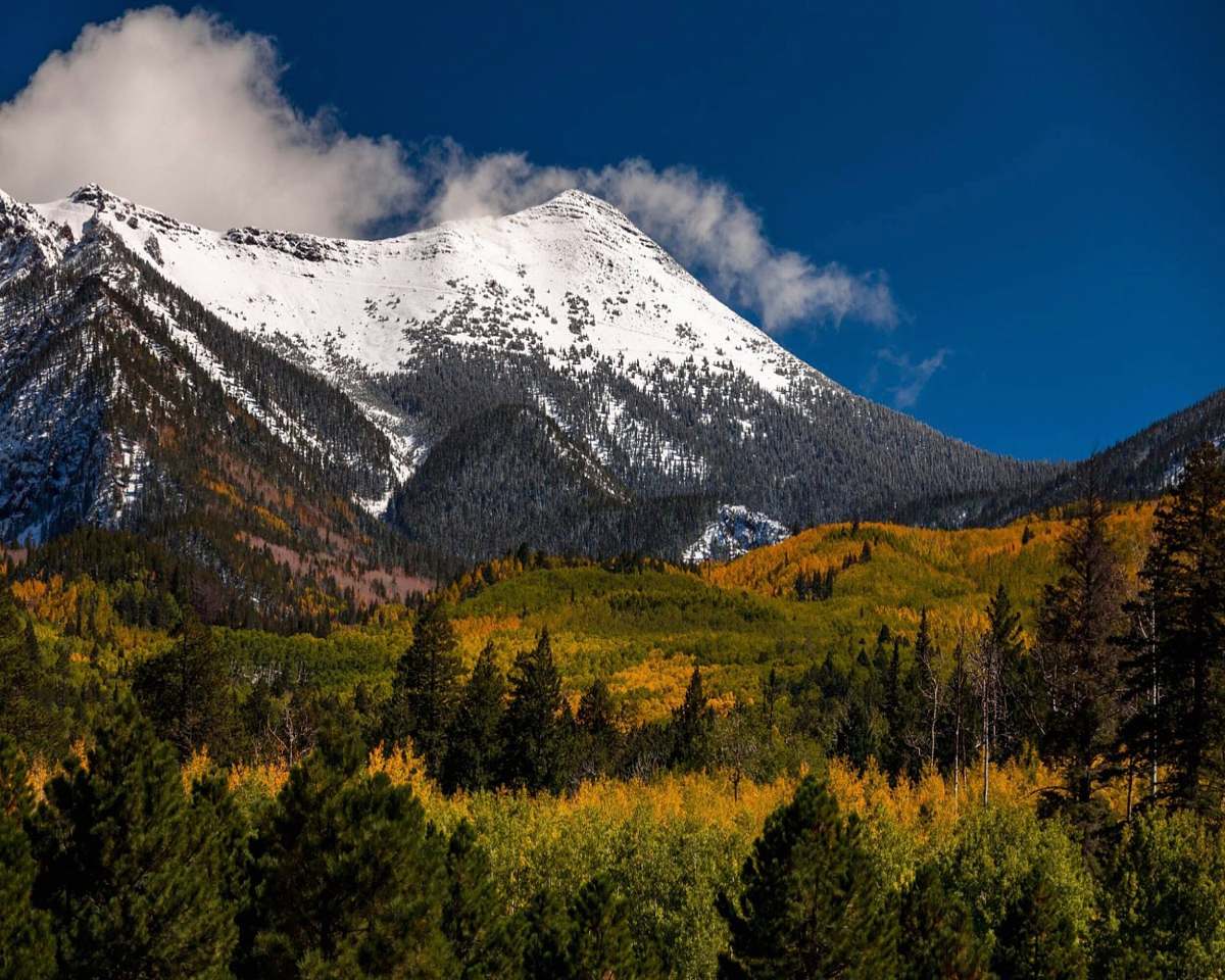 tree snow capped mountain near green field during dayhtime abies