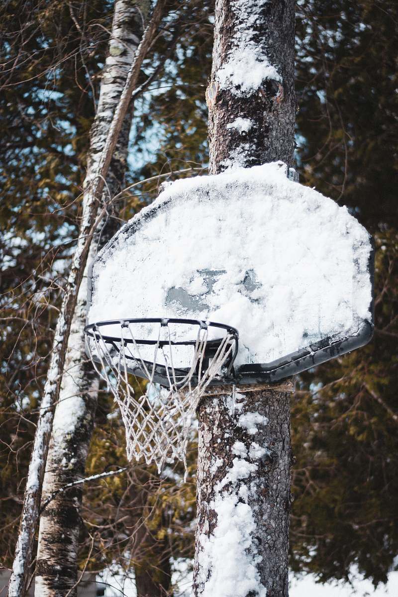 hoop white basketball board tree