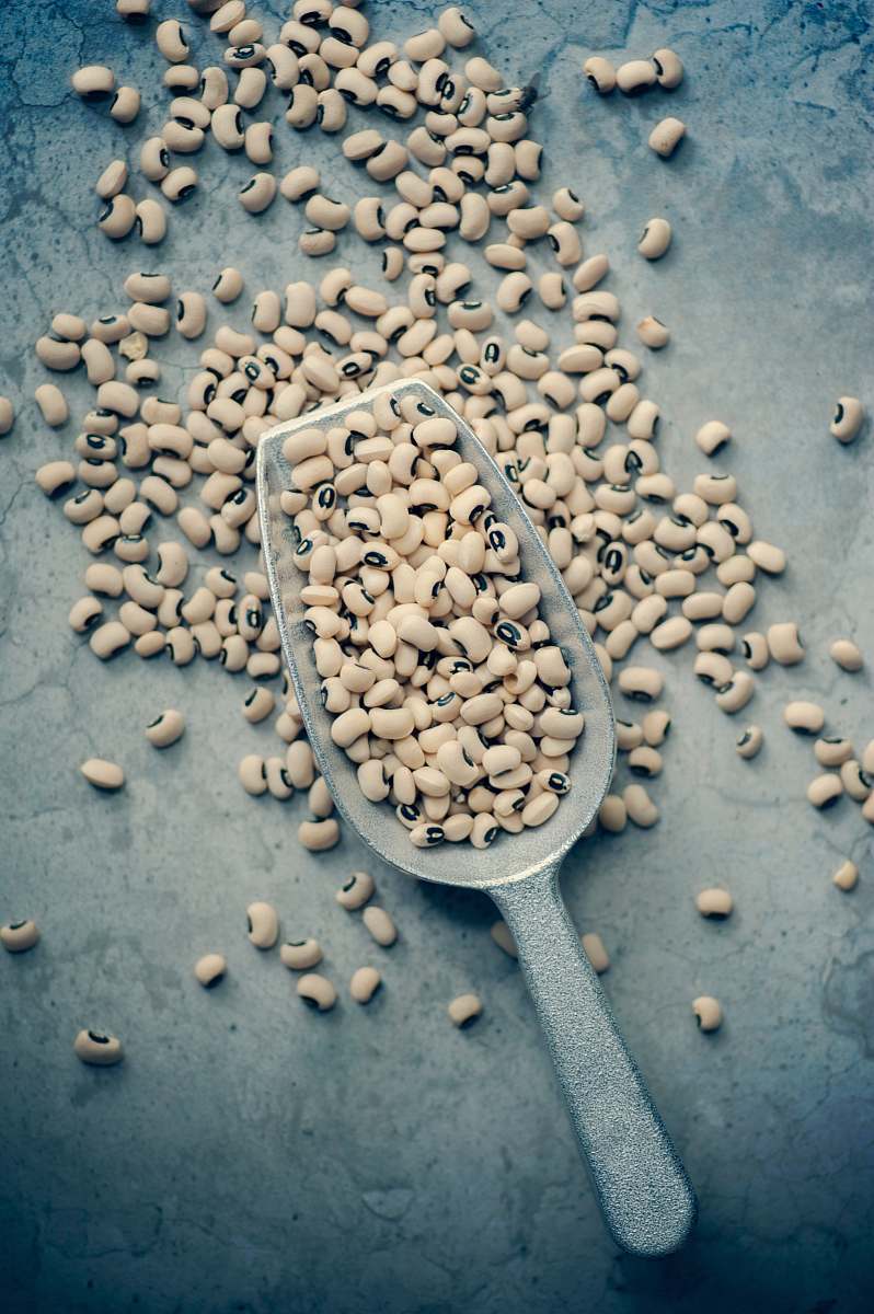 food white beans on gray scraper produce