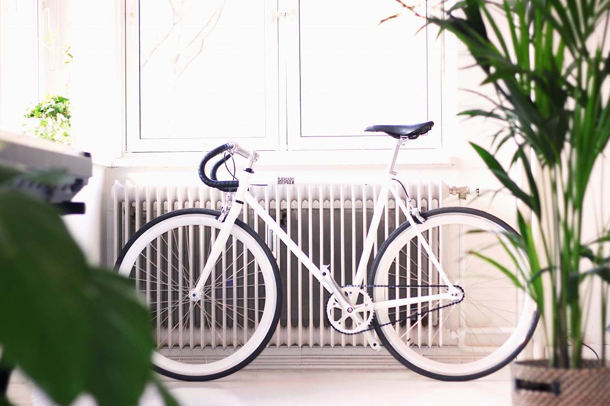 jar white fixie bike potted plant