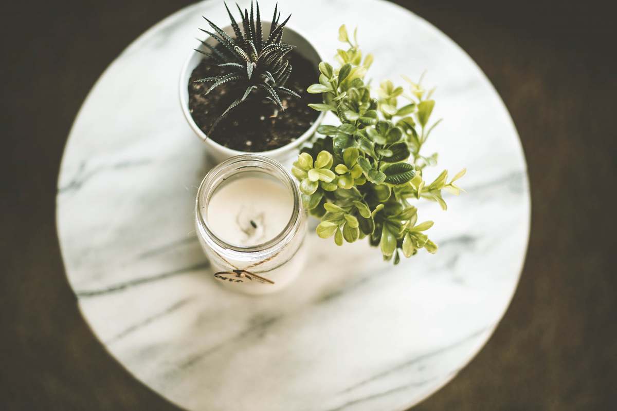 candle white votive candle near plant pot plants