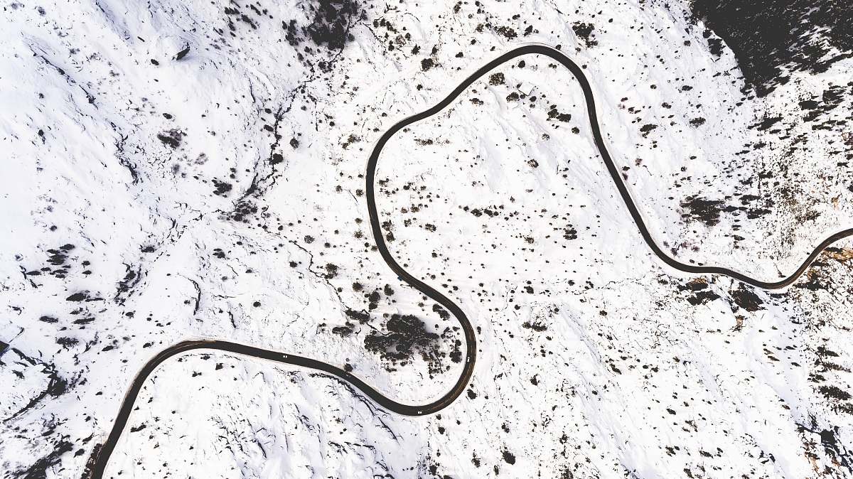 snake snow capped mountain during daytime animal