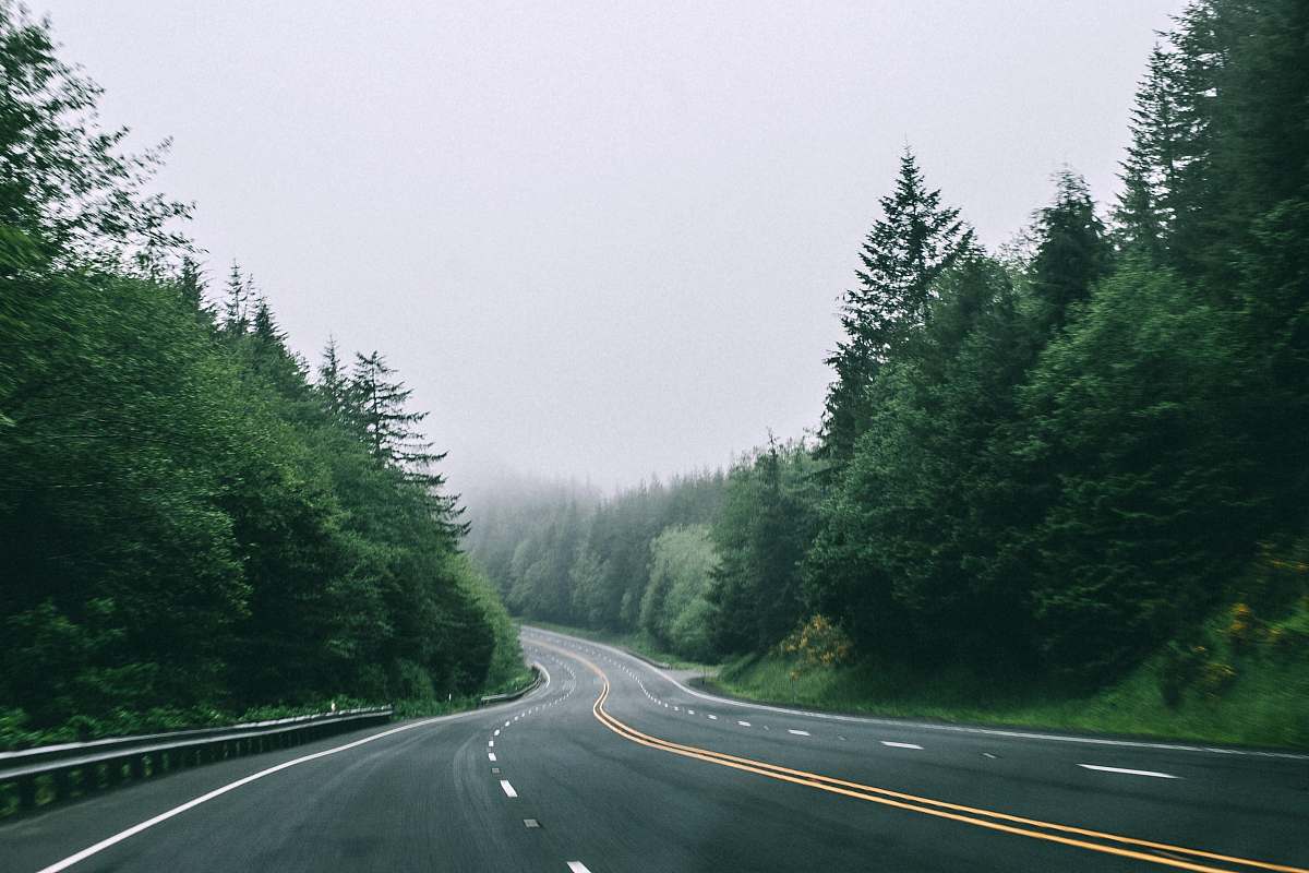highway black asphalt road in between trees with foggy weather seaside