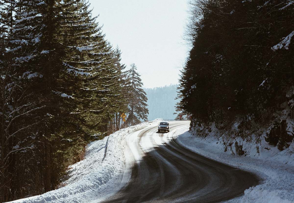 trees car on snowy road surrounded by tall trees gravel