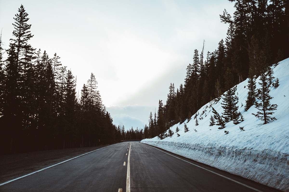 freeway empty concrete road in between forest during daytime highway