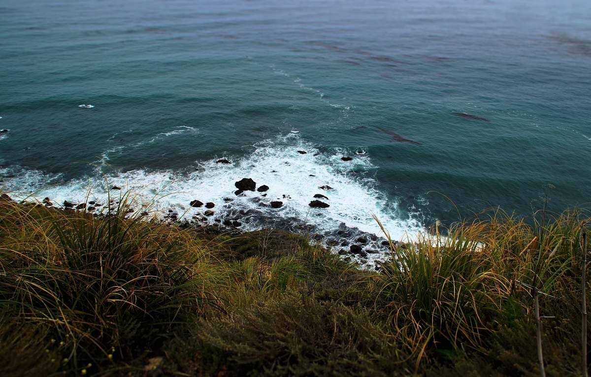 coast sea waves near grass during daytime ocean