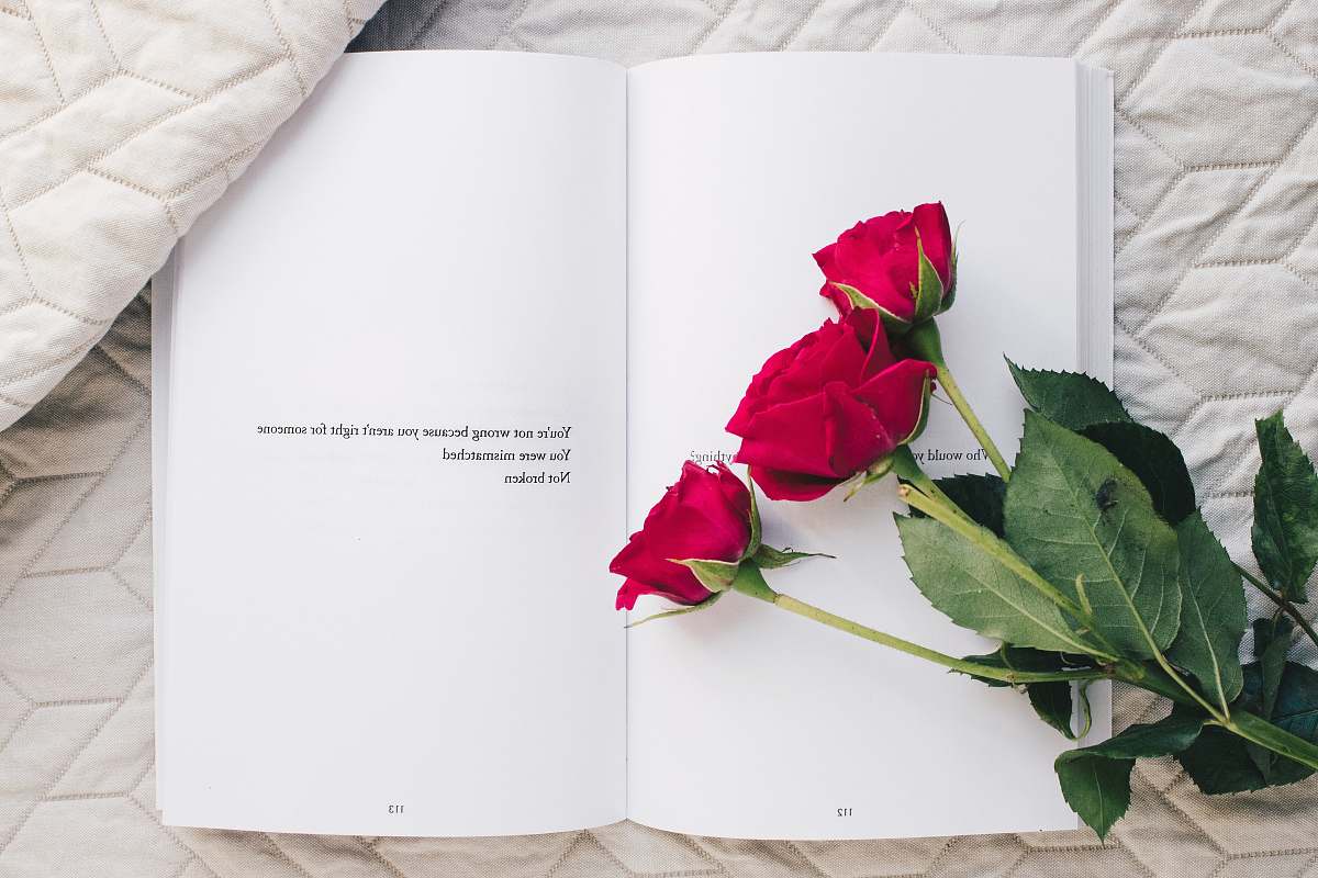 flower three red rose flowers on white open book plant