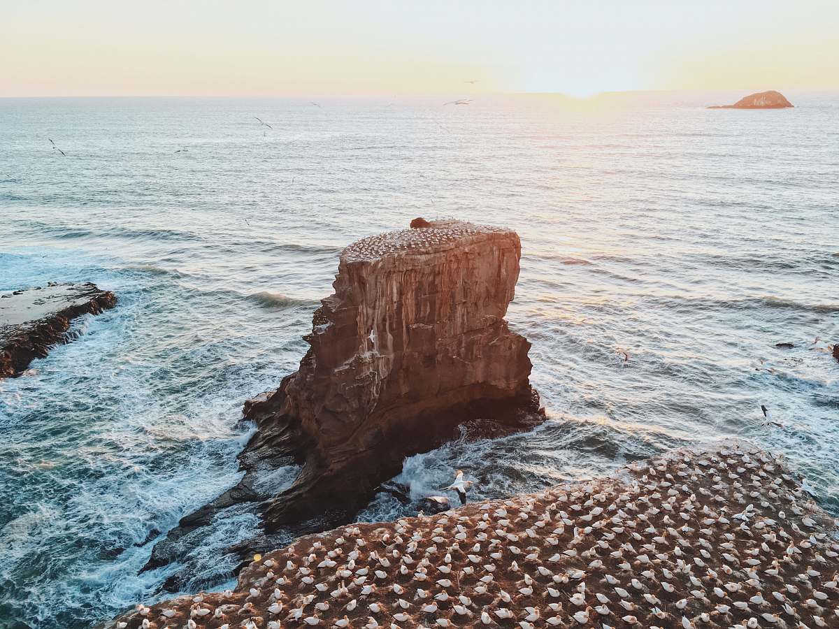 ocean aerial photograph of a rock on body of water rocky