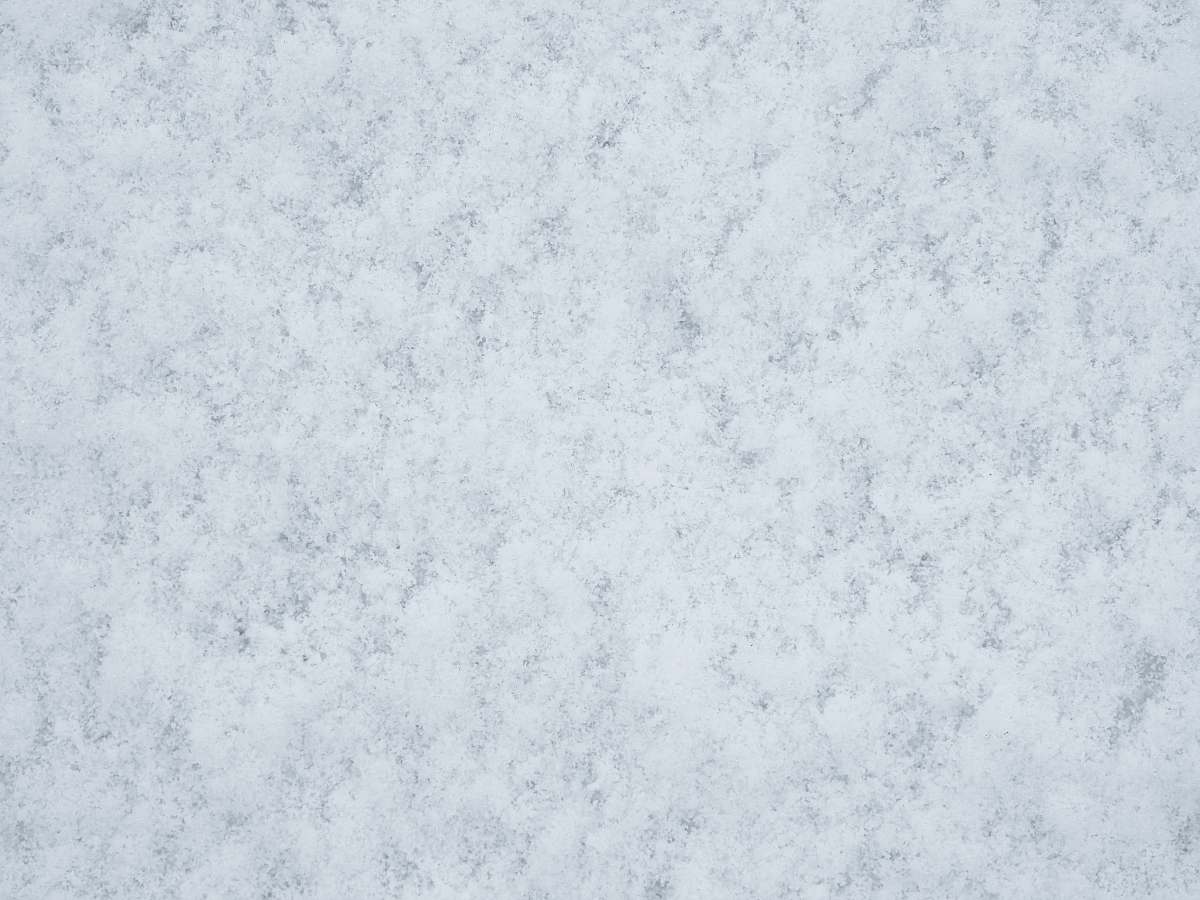 grey  background