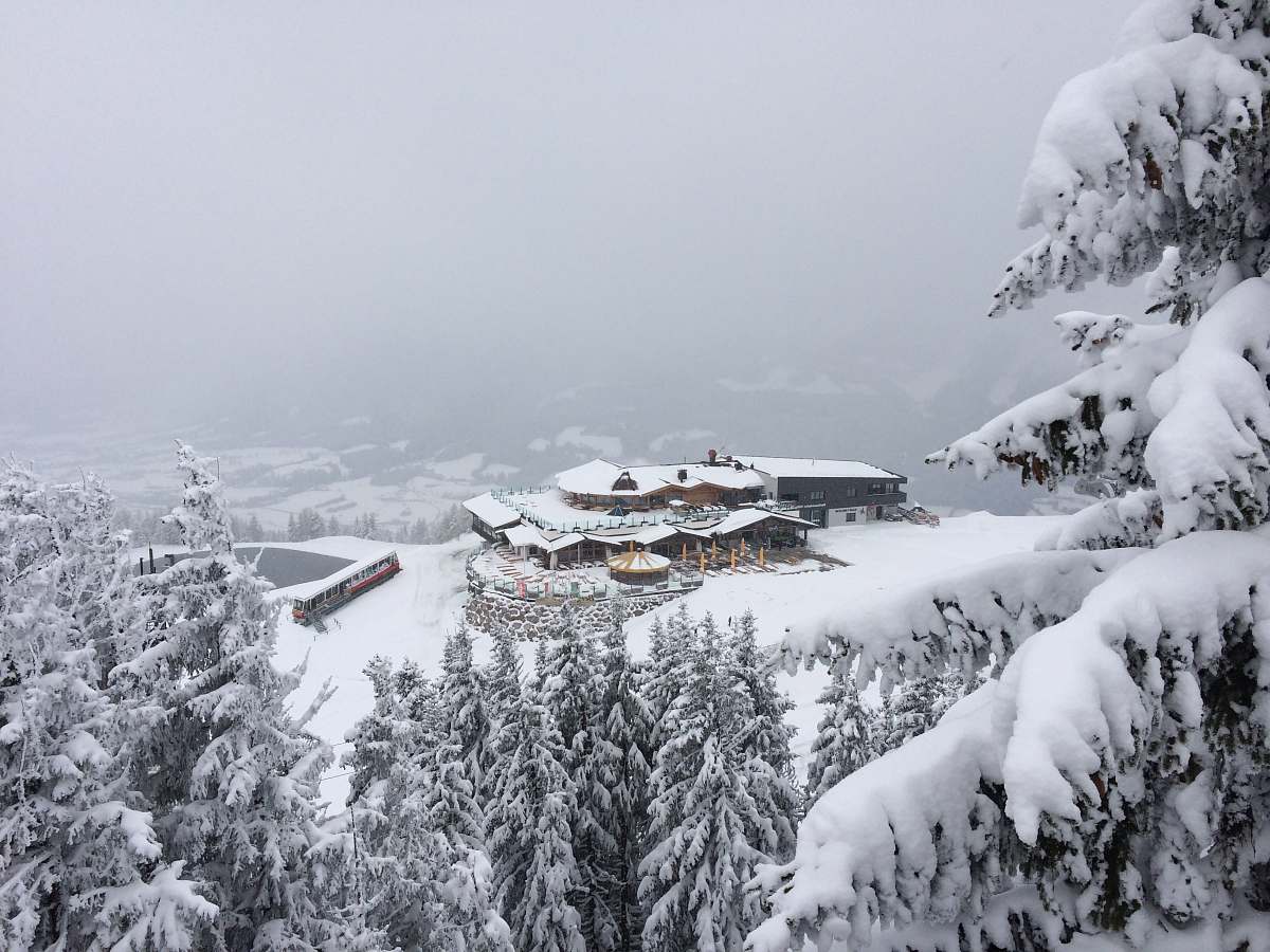 mountain aerial photography of house surrounded by trees during winter tree