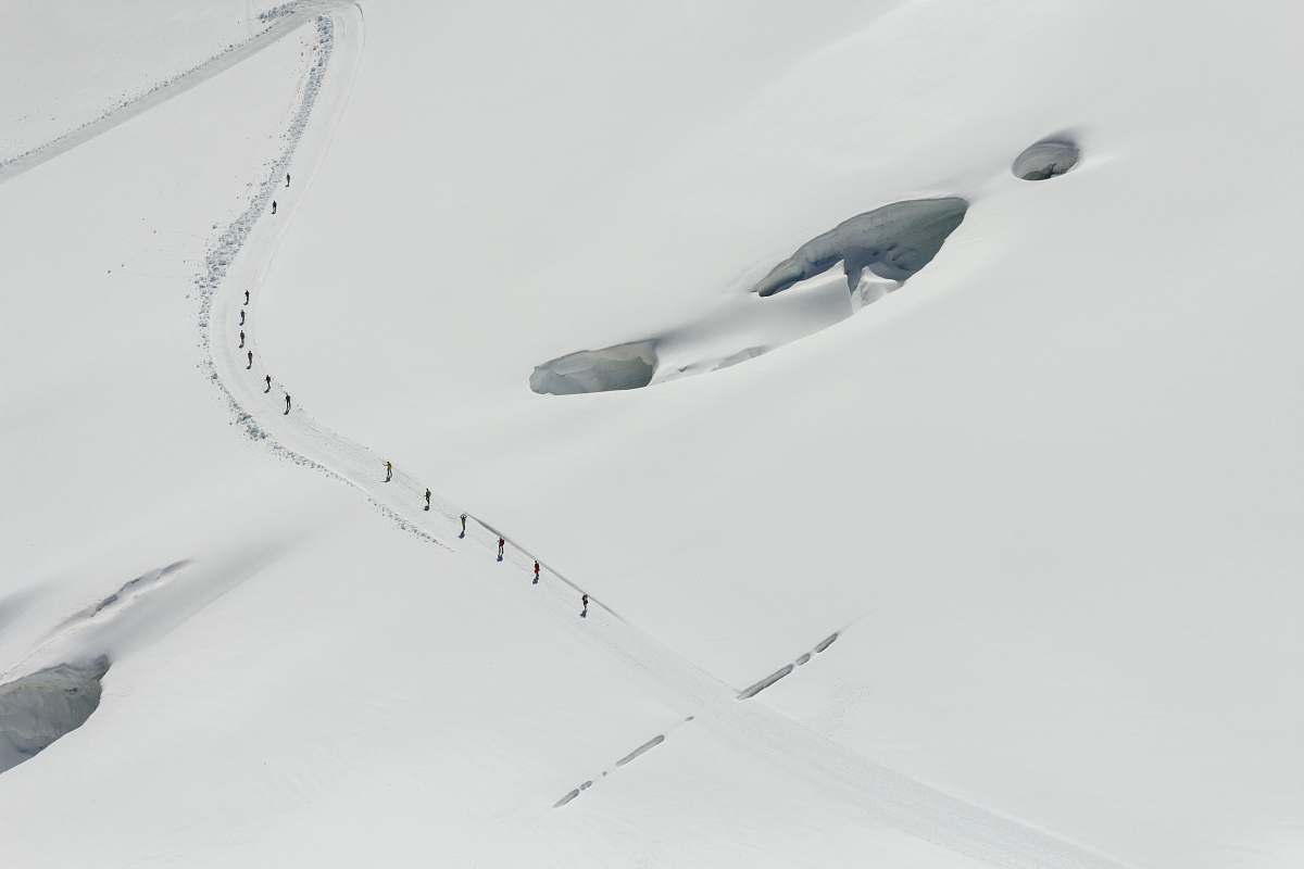 grey group of people walking on snow winter