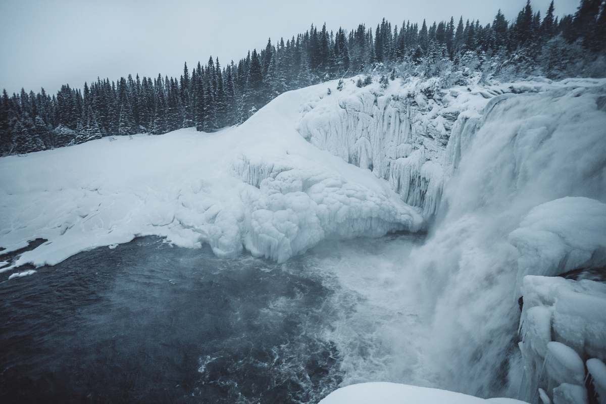 glacier ice falls near the pine tree during daytime ice