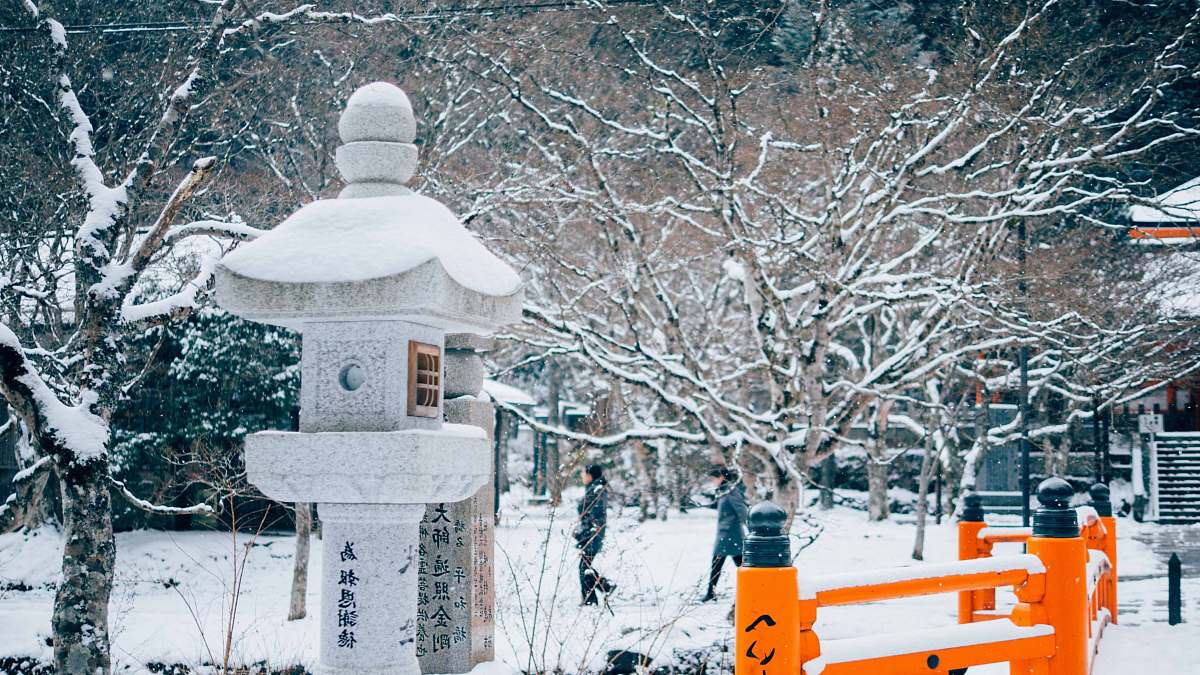 outdoors photo of man walking beside tree trunk koyasan