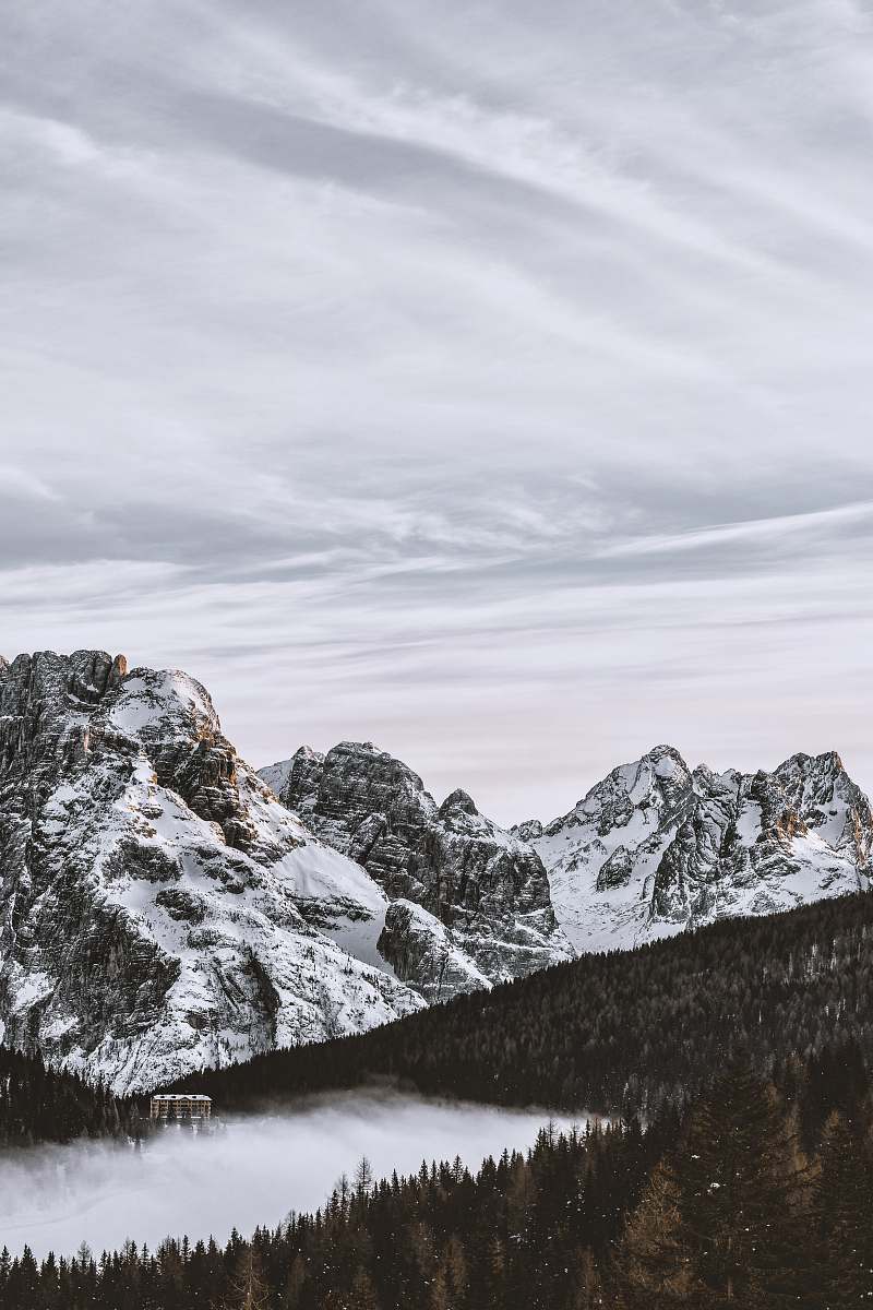 grey photo of mountain near pine trees mountain