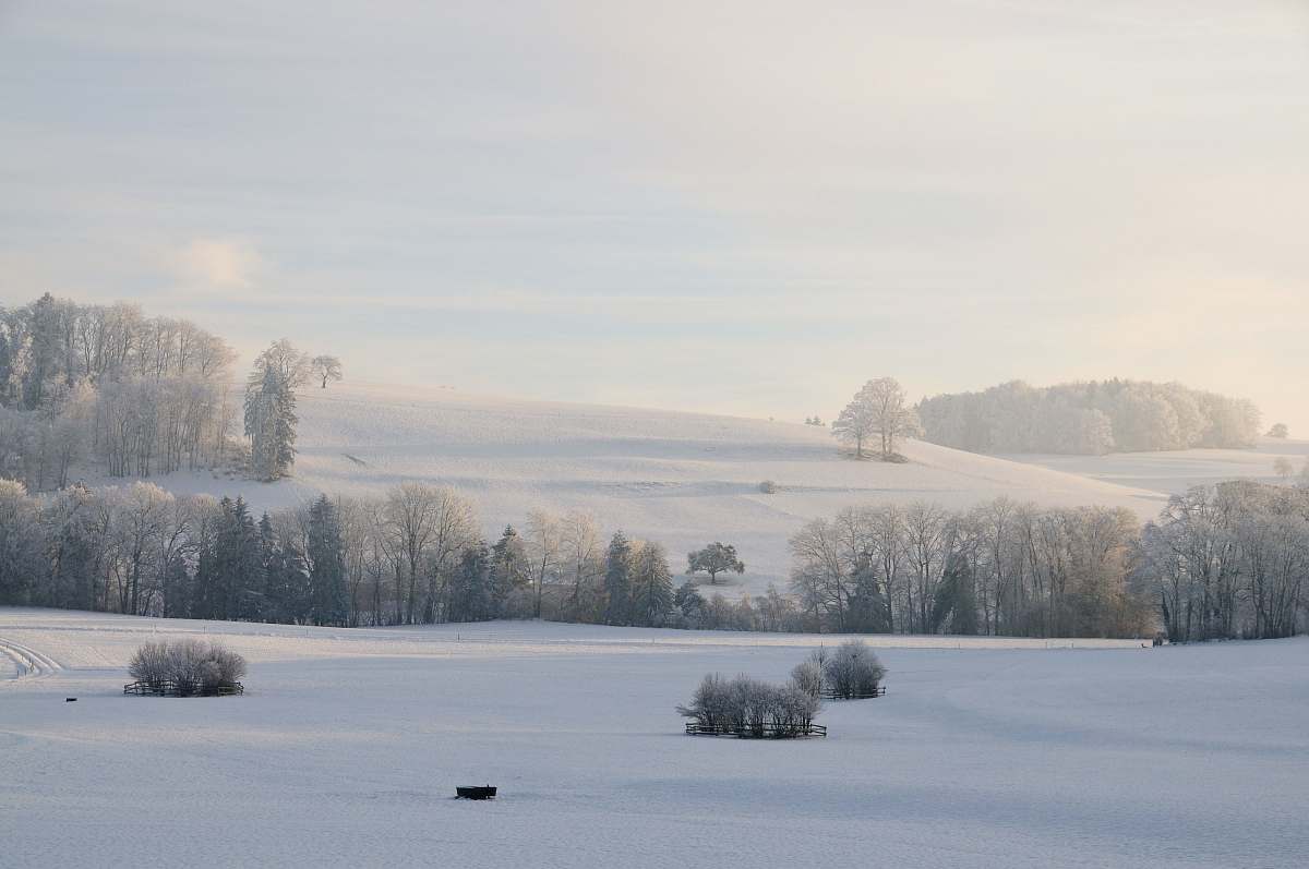 winter snow covered grounds grey
