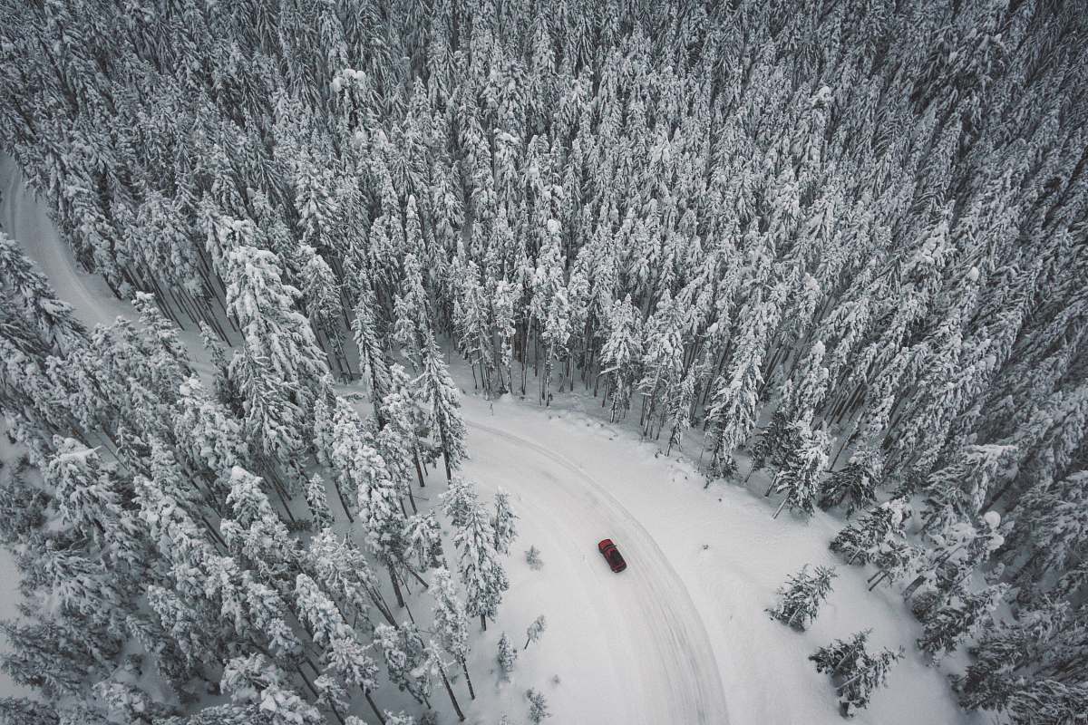 grey vehicle speeding on road covered in snow surrounded by trees at daytime forest