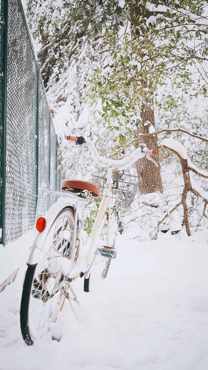 bicycle white and gray bicycle near green cyclone fence bike