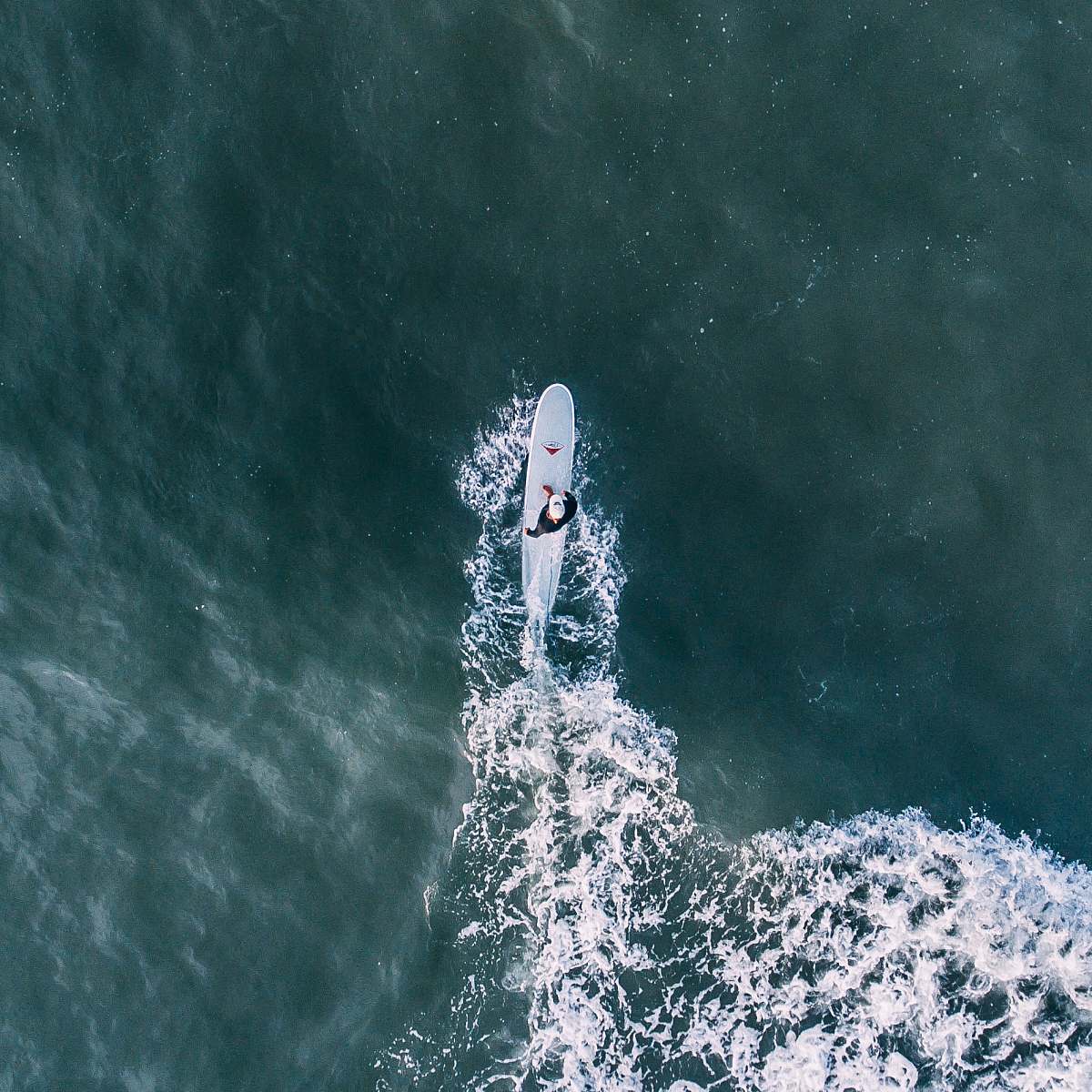 surfer person surfing under sunny sky sea