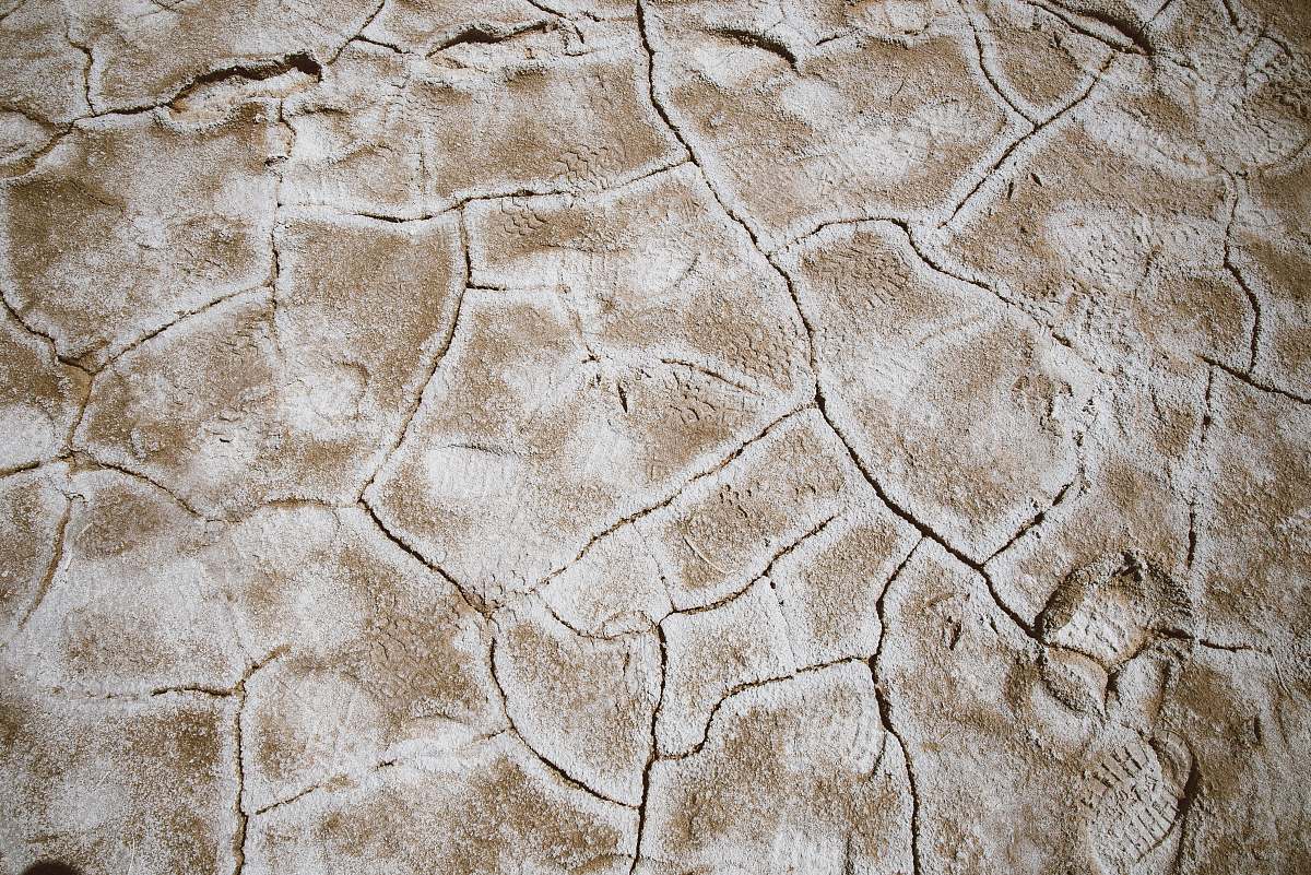 desert closeup photo of brown cracked soil crack
