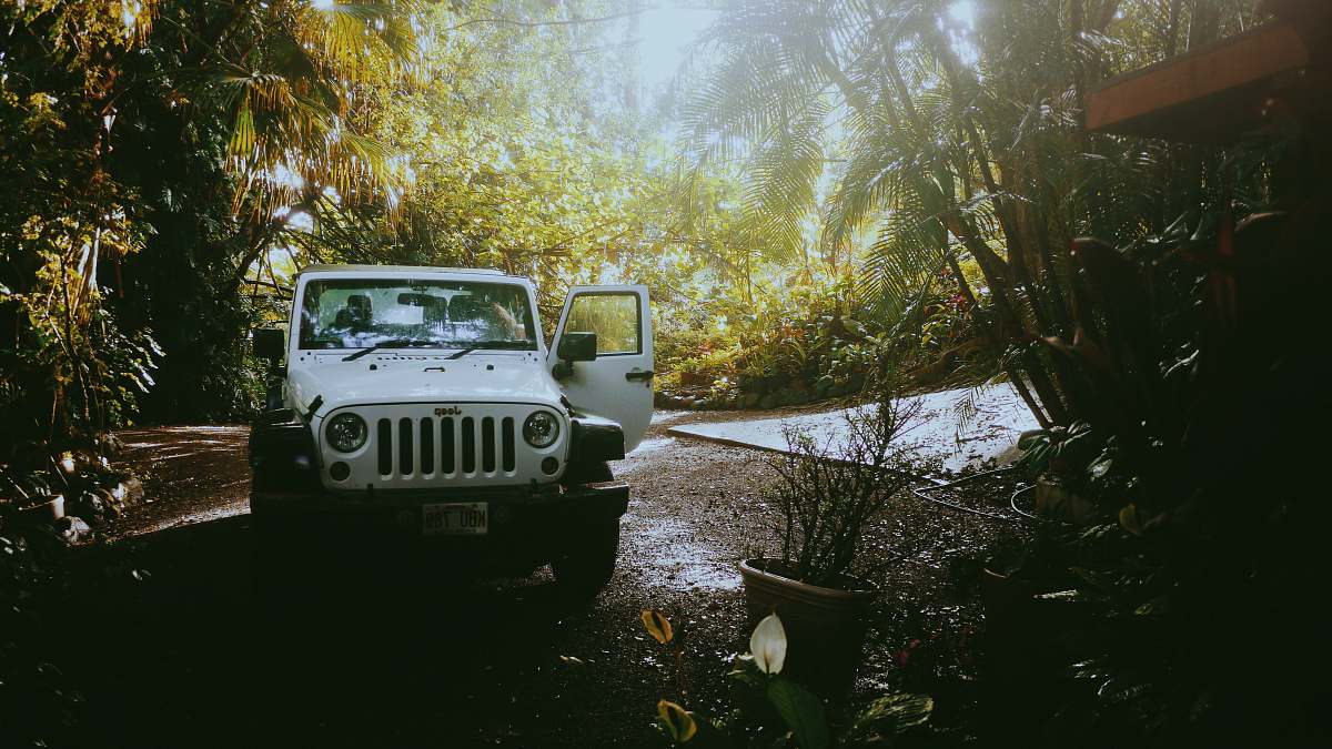 offroad white Jeep Wrangler near trees during daytime vehicle