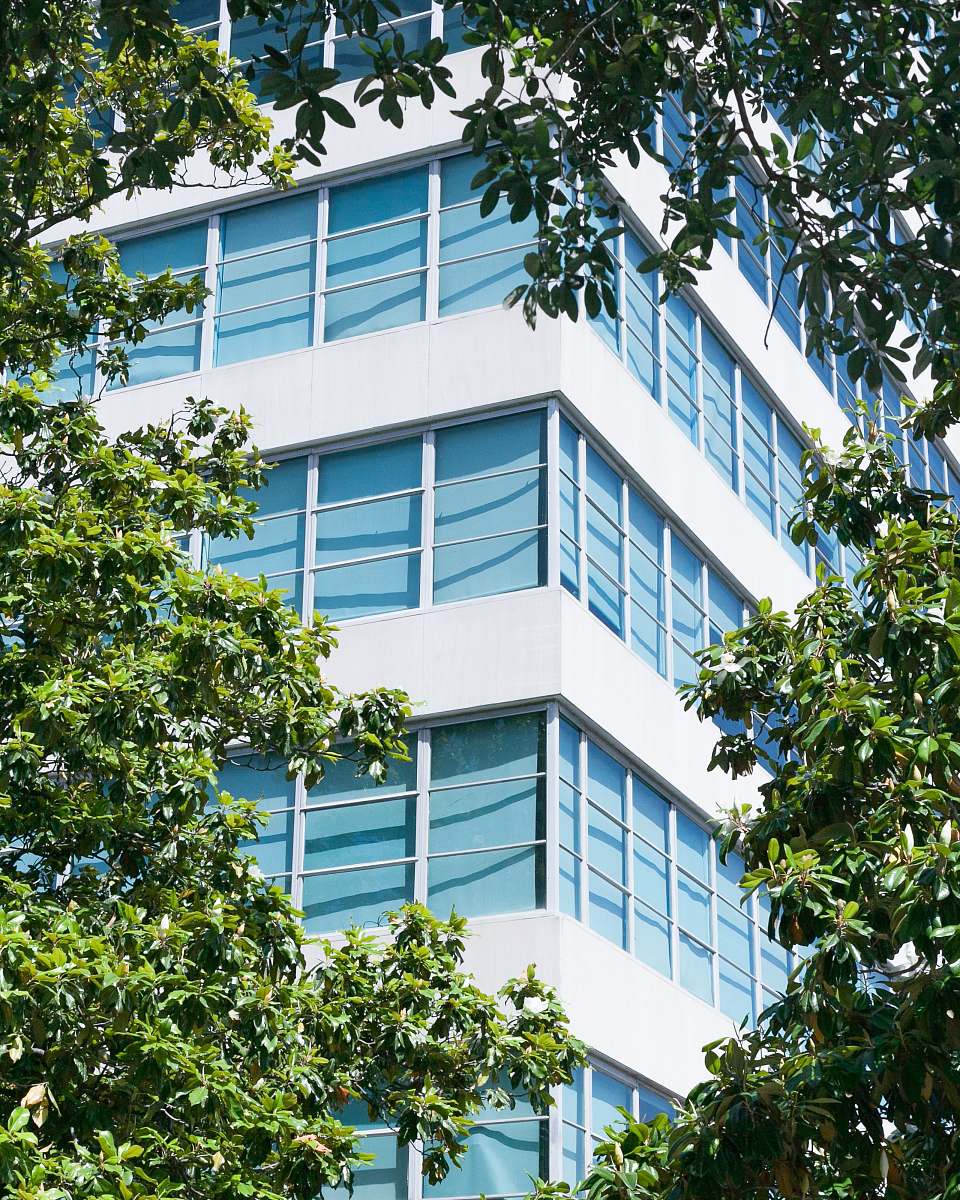 building corner side of high-rise building between trees city