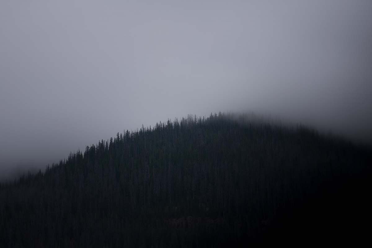 fog fog covered mountain grey